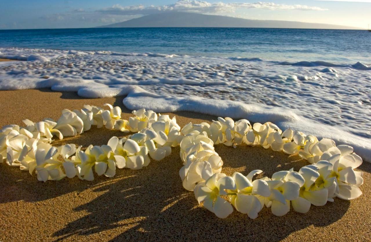 Beautiful Studio In The Heart Of Vibrant Waikiki Honolulu Bagian luar foto